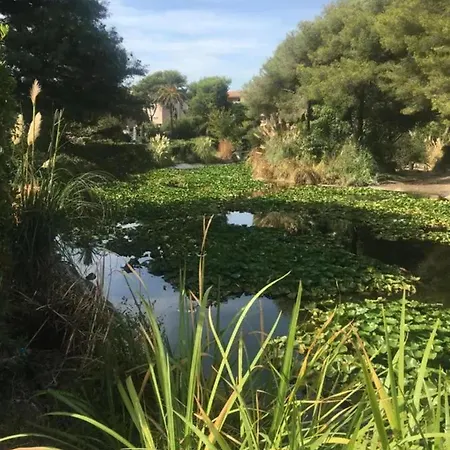 Moderne Avec Vue A * Six-Fours-les-Plages