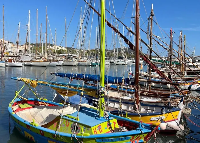 Moderne Avec Vue A Six-Fours-les-Plages